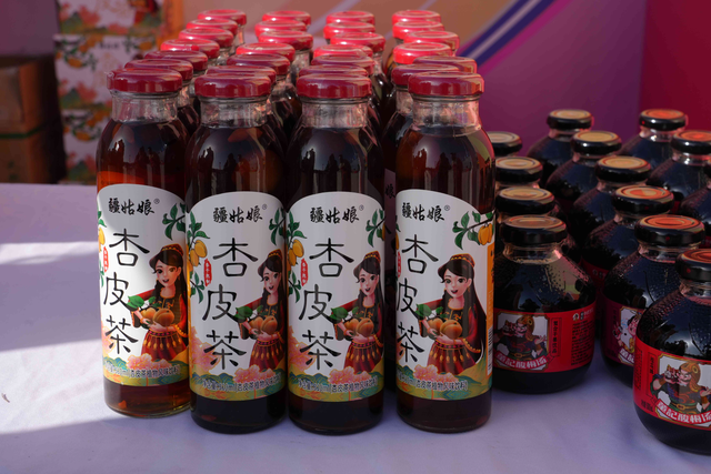 冬游农旅享趣玩 科技巡展启新篇 ——2025 宁夏贺兰冬季旅游嘉年华热力展开