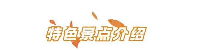 周五宠粉日|国庆赏秋,快收藏这份上海Citywalk指南,更有豫园门票等你来领!