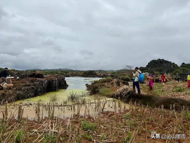 徒步石林蓑衣山、赏水上石林,遇降雨淅淅沥沥,收获特别的体验