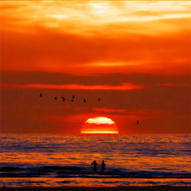 这是油画还是实景？太美太美啦！！