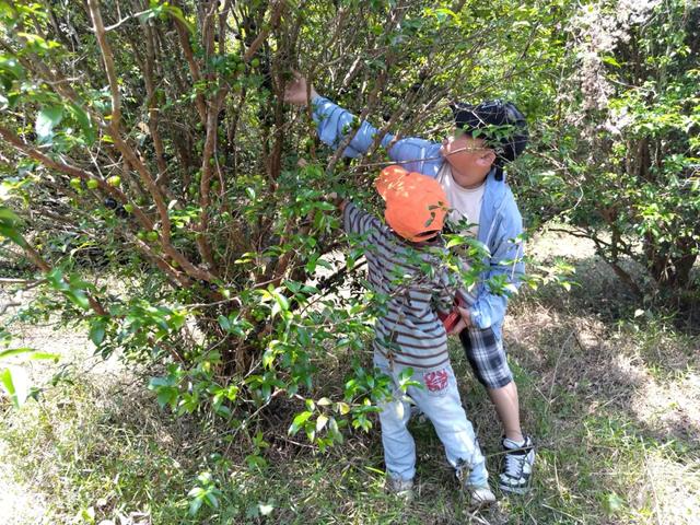 趣春游,赴一场蓝洋踏青的邀约