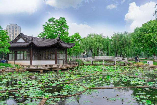 拯救高温周末！南京本地人私藏的6个清凉公园，免费又好玩，快冲