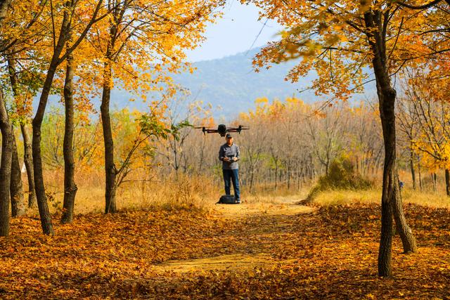 泗水县万紫千红旅游区：静谧而斑斓的生态画卷