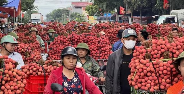 失去中国市场后，大量水果烂在地里卖不出去，才后悔“得罪”中国