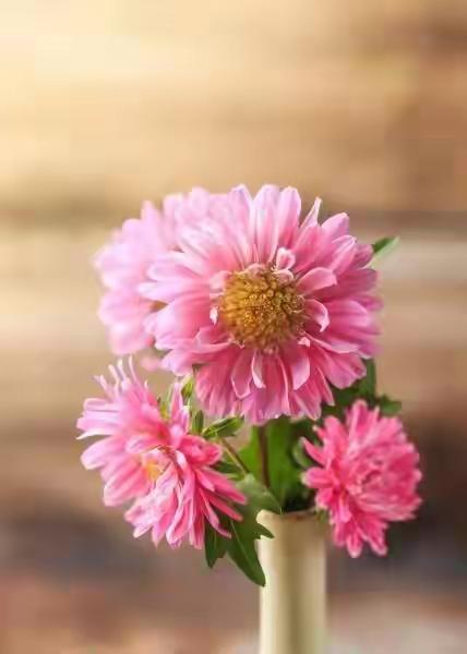 讲点玄学，这20个好习惯，真的可以旺自己