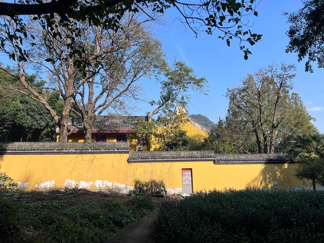 上天竺到云栖竹径，徒步9公里，感受一路秋意。