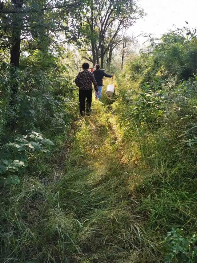 10月	，「需要另一个同类」