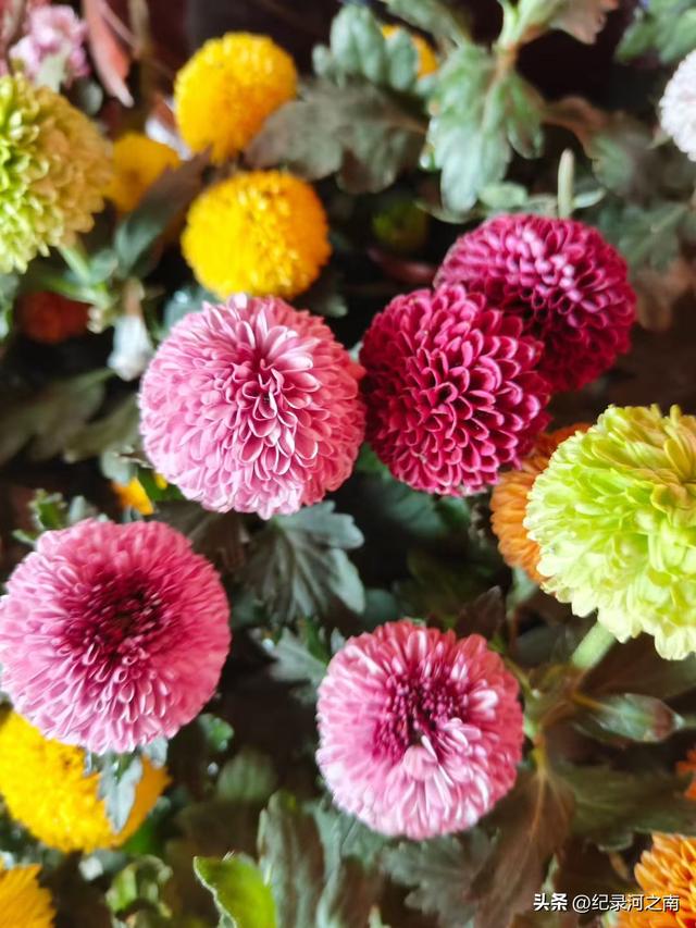 开封旅游：从网红爆款到长红经典的蜕变之路