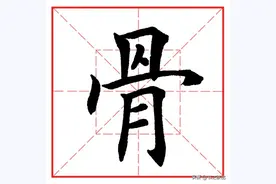 每日一字965：骨图片