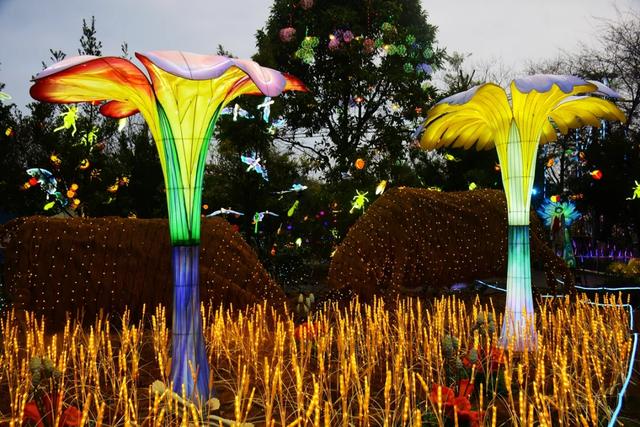 桂林：首届非遗千灯游园，光影艺术璀璨盛宴！