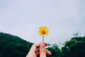 对抗焦虑强迫最好的良药：10句话！图片