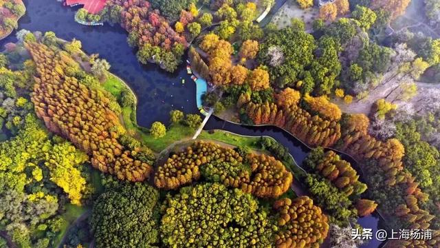 杨浦这些景点“限时优惠”，你去过几家？