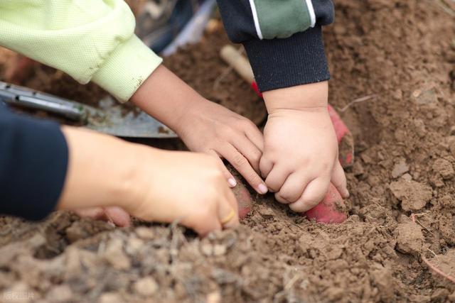 从化冬季户外 田园野趣农耕一日游 拔花生砍甘蔗挖红薯做竹筒饭