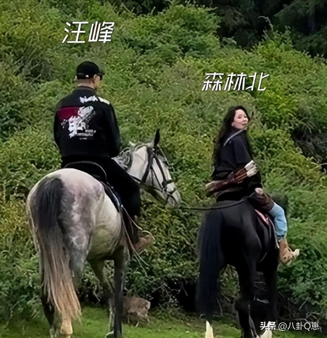 “牡丹花下死，做鬼也风流”！这一次，谁也救不了喜新厌旧的汪峰