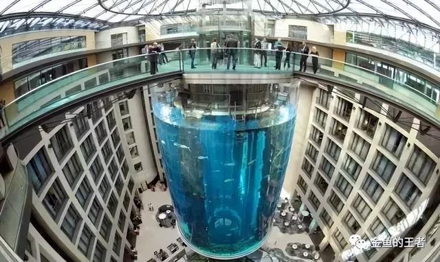 玄武湖惊现"超级大鱼缸"，8米玻璃直通湖底，专利技术惊艳全国