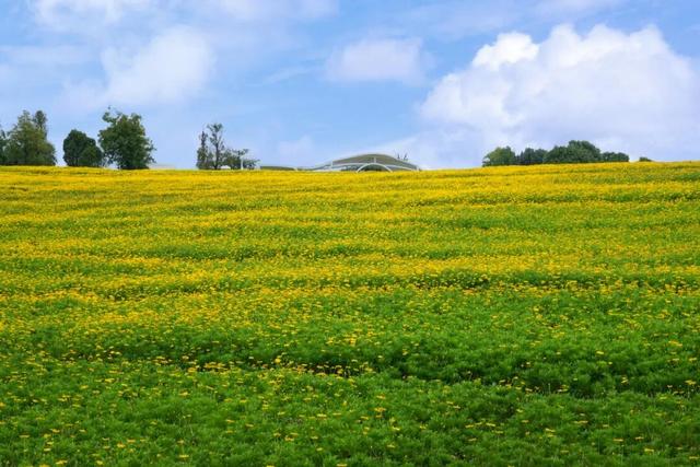 州庆，弥勒太平湖超多福利！红河人约起～