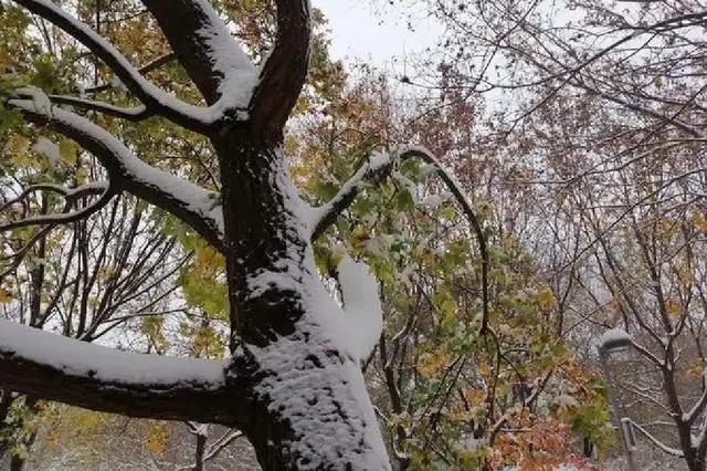 北京奥林匹克森林公园 城市中的绿色明珠