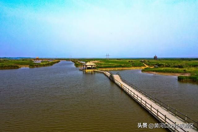 【黄河口生态旅游区】开学季 奔赴自然之美