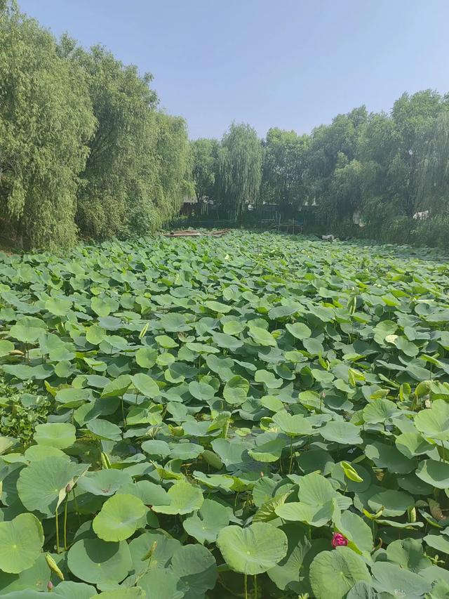 游逛塘栖丁山湖景区