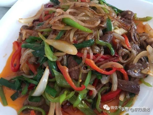 当沙漠爱上黄河：宁夏双城记——银川与中卫你更喜欢哪一个？