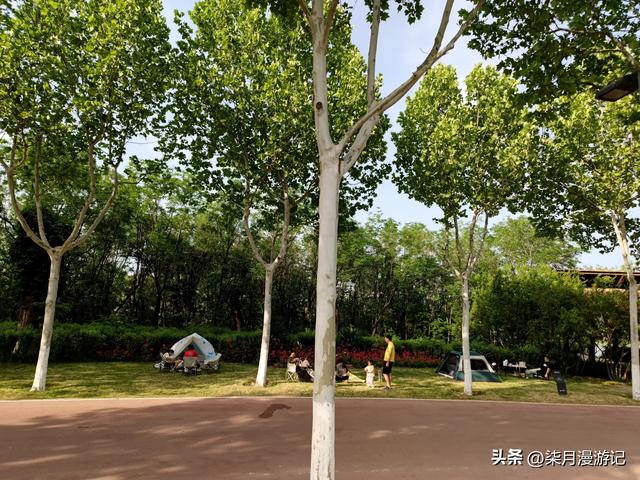 西安东郊最大的公园蔷薇花还很美,露营的游客多,小桥流水游乐场