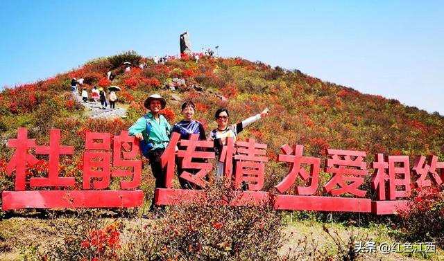 云上八卦脑 鹃红醉石城