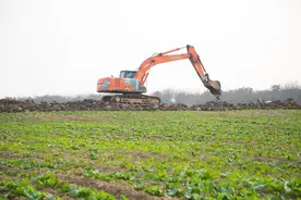 农村征地补偿款怎么分？3大关键点决定你家钱袋子！图片