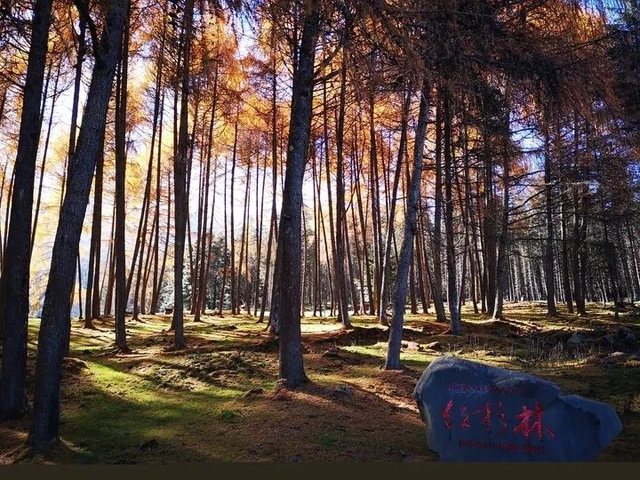 窝趣，雅安的秋天长这样？这我是真喜欢！