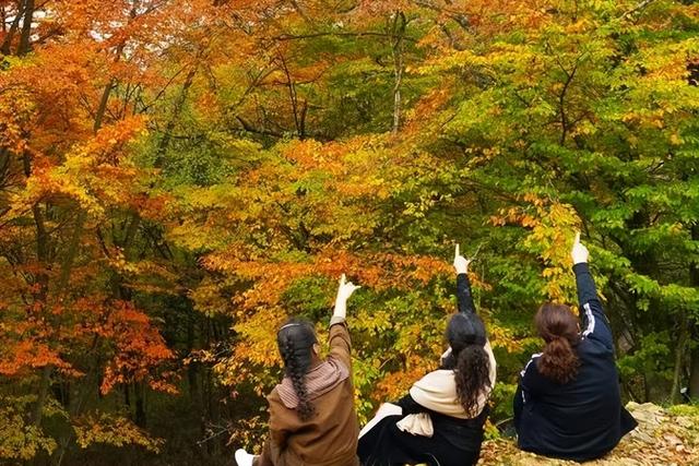 广元不远 周末优选 | 秋天的第一场旅行，坐高铁来广元“晒”秋吧！