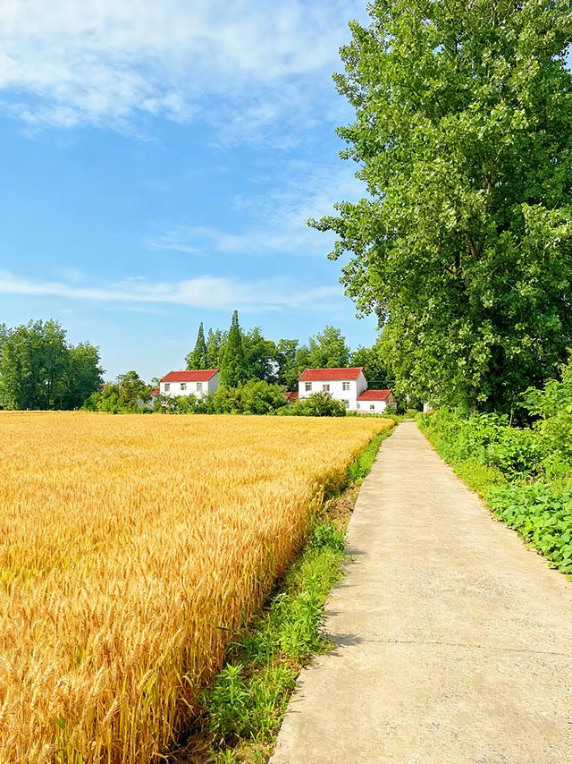 置身在城市里的繁华景象，抛不下乡村里的自然风光