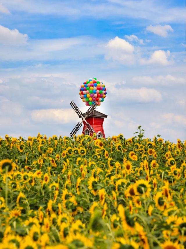 苏州夏日赏花地图来了！你最想去哪里？