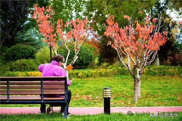 天水弘文园秋景美翻了，快去打卡！