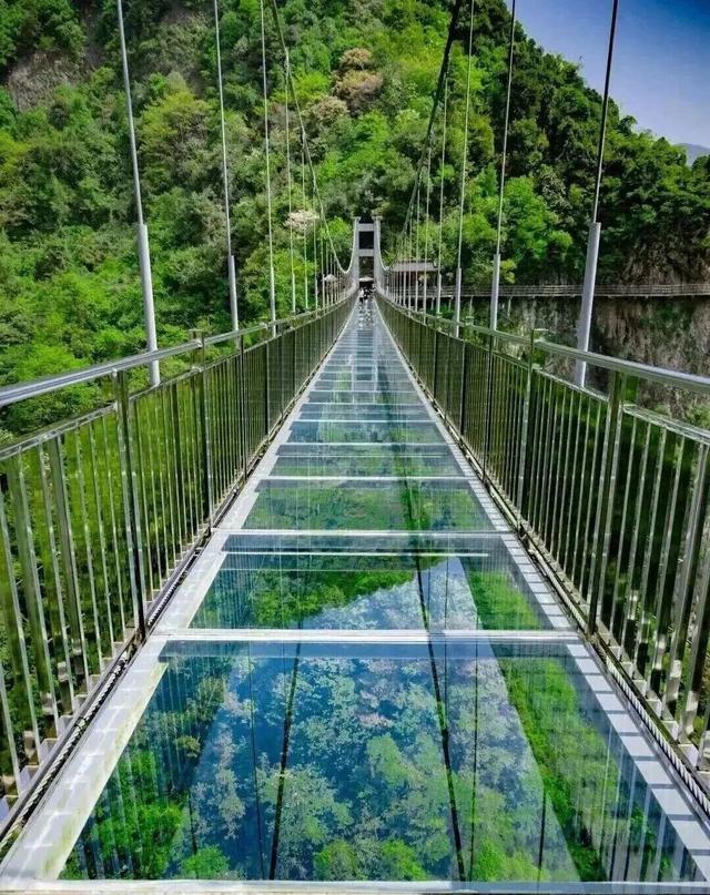 多个景区官宣：免费