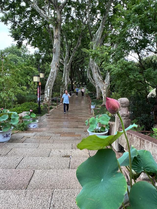 上海松江醉白池