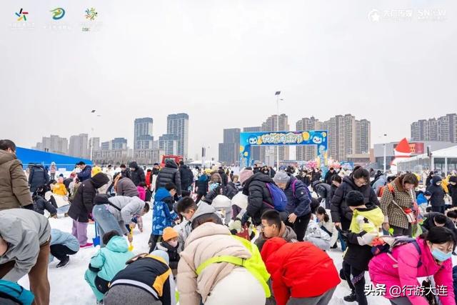 除了海，大连冬日“顶流”竟然是它们？