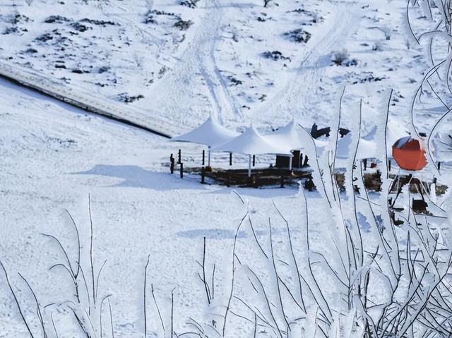 克拉美丽，沙漠里的冬日童话