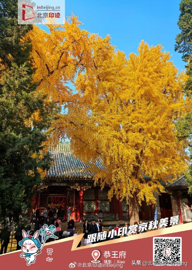 还在遗憾秋天太短暂？邀您一键保存京秋印迹