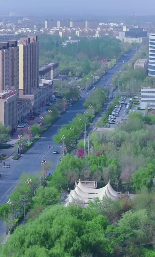 沙雅春天太美了