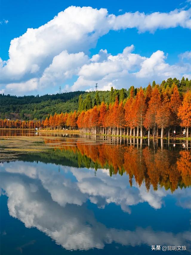 初冬氛围感出片计划,走起!昆明这份打卡攻略速速收藏→