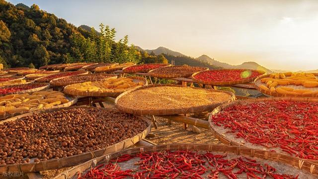 春秋假来袭！旅游企业如何把握新机遇？