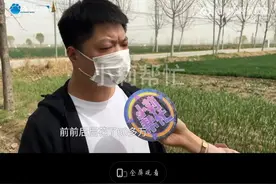 石榴裙下男人团团转——河南濮阳00后女海王玩得确实花图片