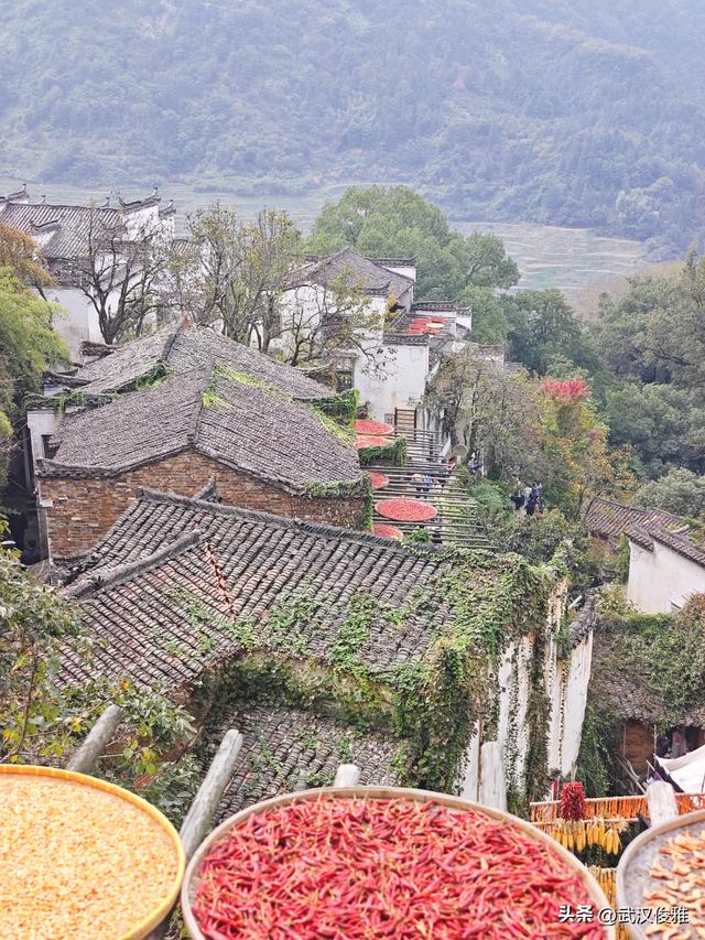 篁岭晒秋正当时！邂逅“最美中国乡村”的限定色彩