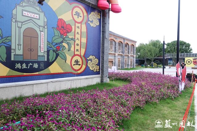 21处绚烂花海！苏州“晚秋花海”赏花地图出炉