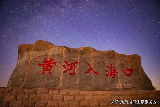 【黄河口生态旅游区】开学季 奔赴自然之美