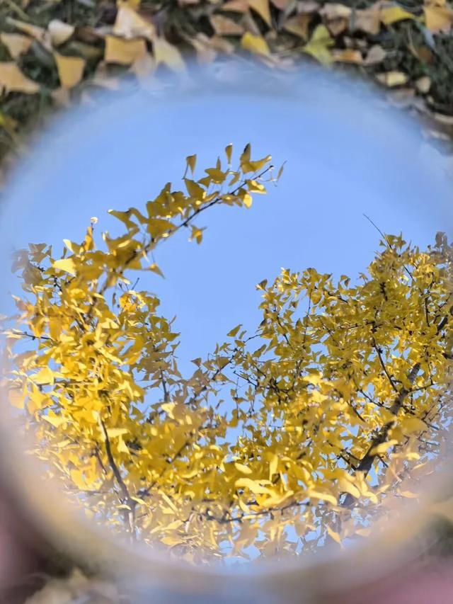 在汉阳的秋天，捡出一个灵感宝库