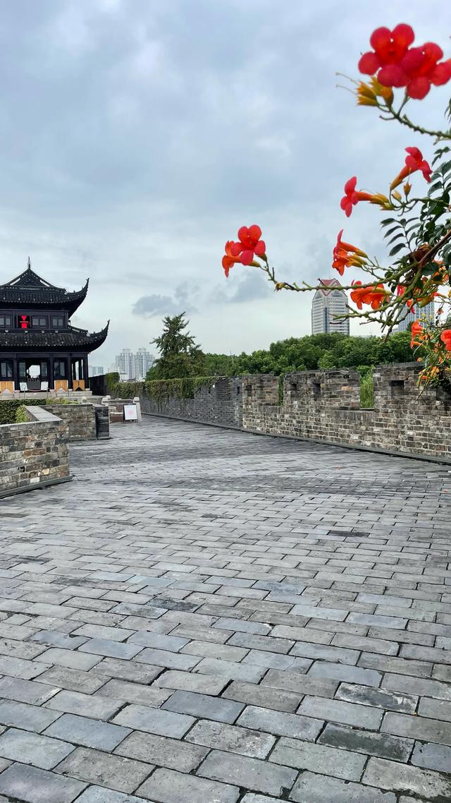 苏州漫步七里山塘，穿阊门而行，回望历史变迁