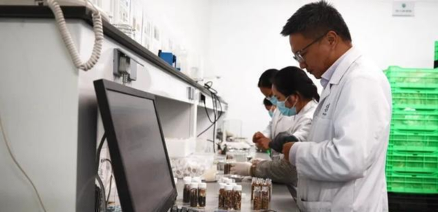 中国“诺亚方舟”首次曝光！亚洲最大生命库震撼世界
