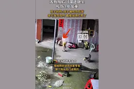 大狗闯进村民家中咬伤3岁女童，母亲：狗不是本村的，直接把它打死了，怕它出去再要咬别人图片
