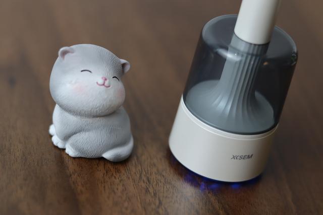 你真会掏耳朵吗？上手西圣Find X智能可视耳勺，还是年轻人会玩！