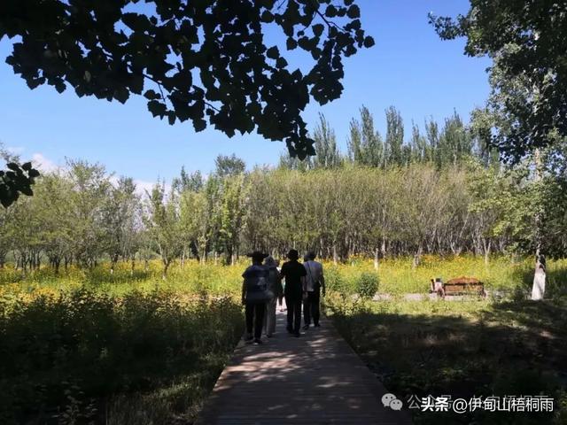 新疆之行（九）博乐，一座令人心动的宜居城市